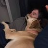 shelbyzd